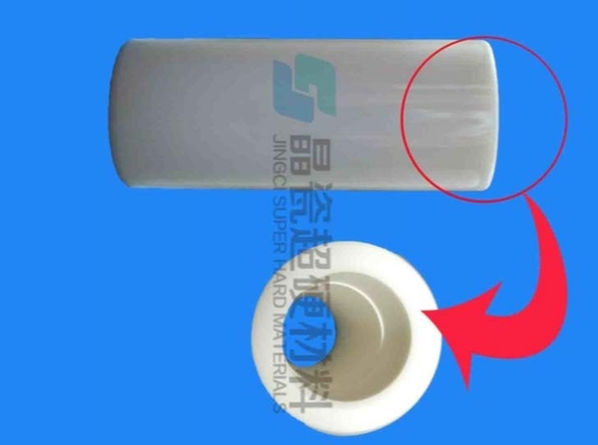 Atuador cerâmico da alumina resistente à corrosão, pistões cerâmicos, componentes de bomba Al2O3 agrícolas de 99%